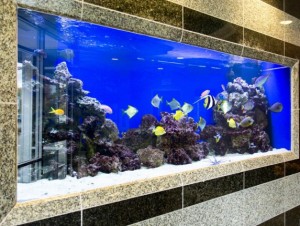 Lakeshore Executive Centre - 299 Lakeshore Drive